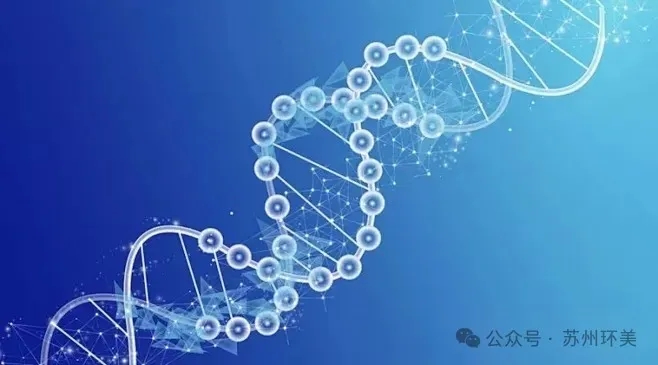 &#39318;&#39029;&#95;&#74;&#68;&#66;&#40;&#20013;&#22269;&#41;&#30005;&#23376;&#95;&#23448;&#26041;&#32593;&#31449;